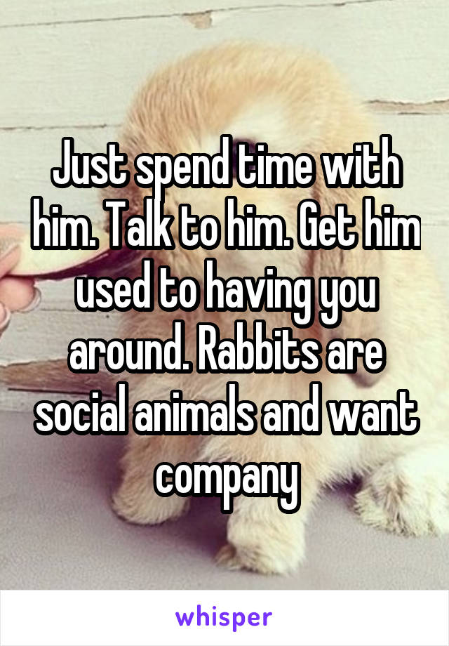 Just spend time with him. Talk to him. Get him used to having you around. Rabbits are social animals and want company