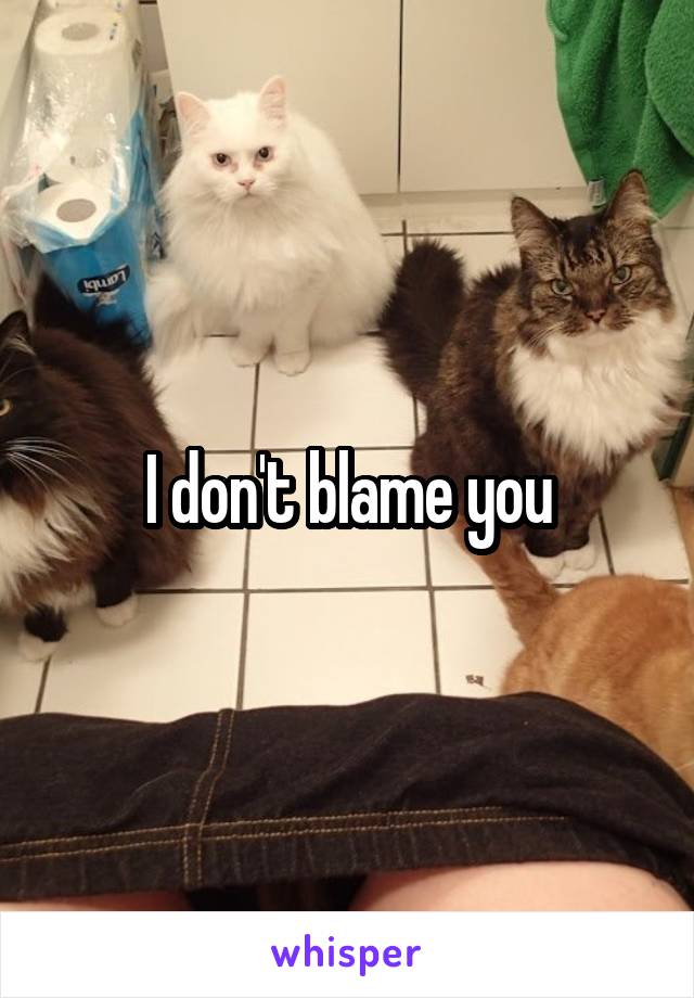 I don't blame you
