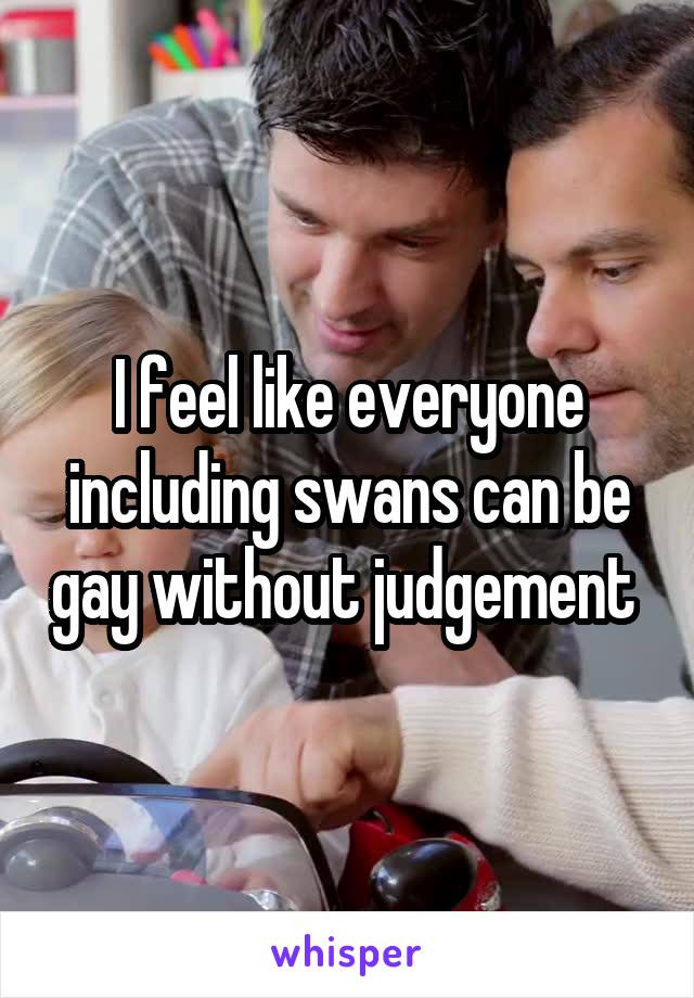 I feel like everyone including swans can be gay without judgement 