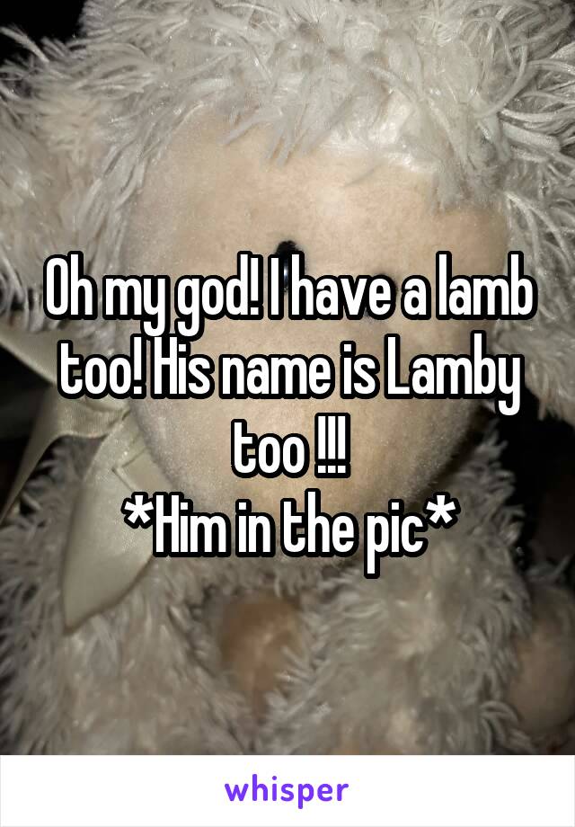 Oh my god! I have a lamb too! His name is Lamby too !!!
*Him in the pic*