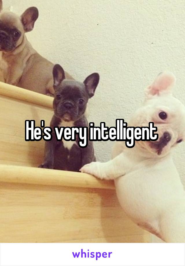 He's very intelligent 