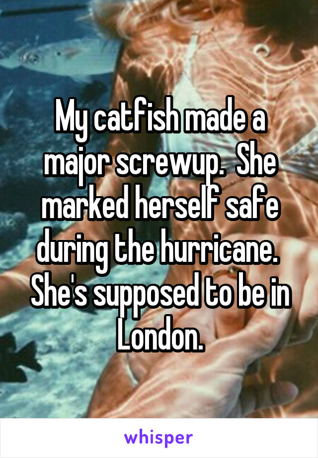 My catfish made a major screwup.  She marked herself safe during the hurricane.  She's supposed to be in London.