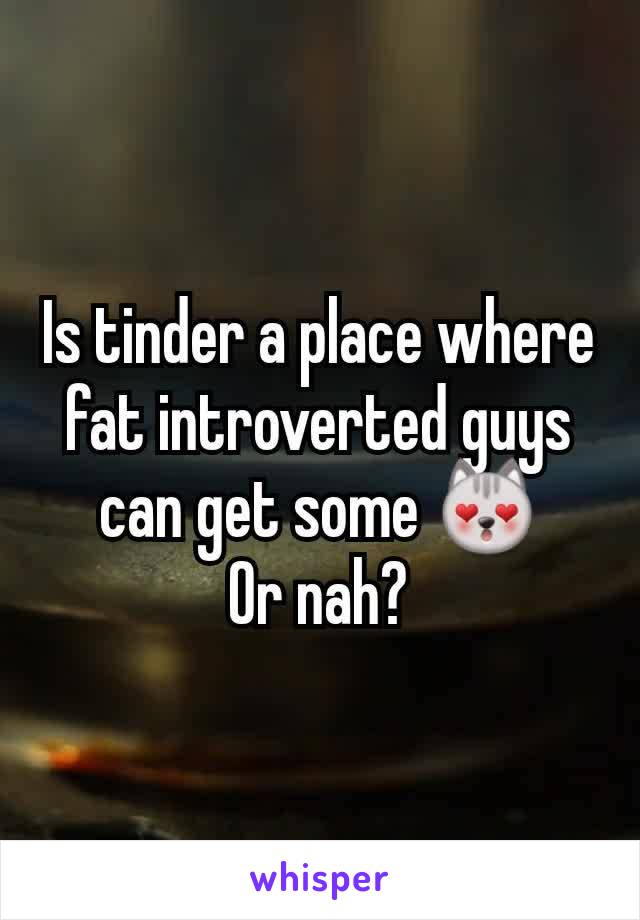 Is tinder a place where fat introverted guys can get some 😻
Or nah?