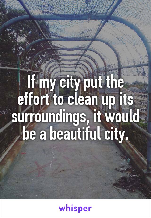 If my city put the effort to clean up its surroundings, it would be a beautiful city.