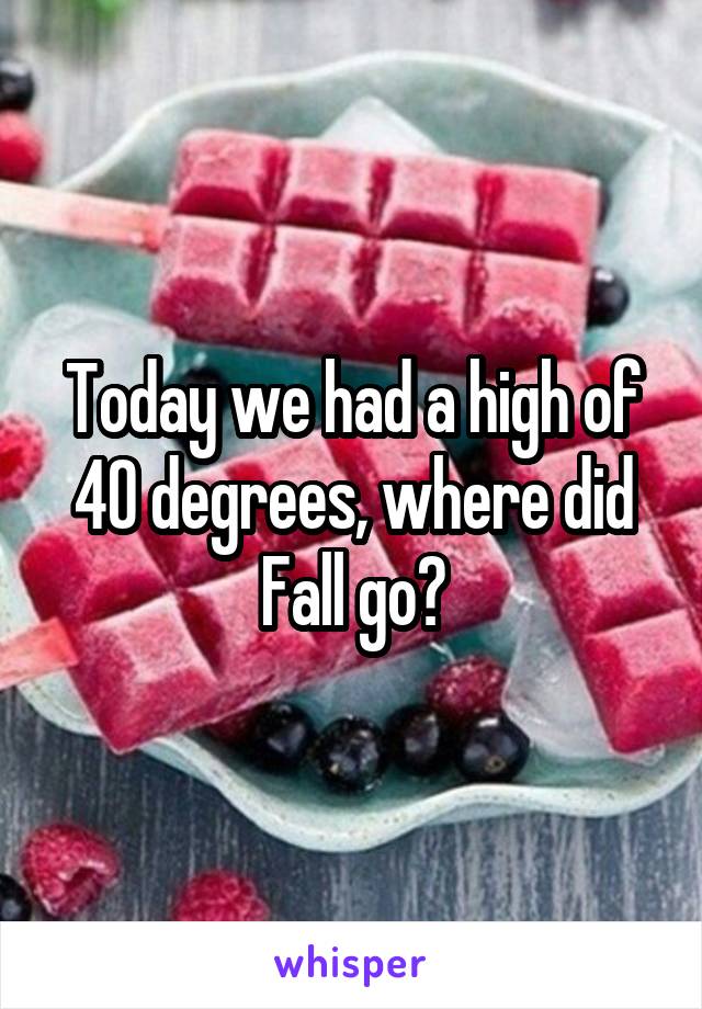 Today we had a high of 40 degrees, where did Fall go?