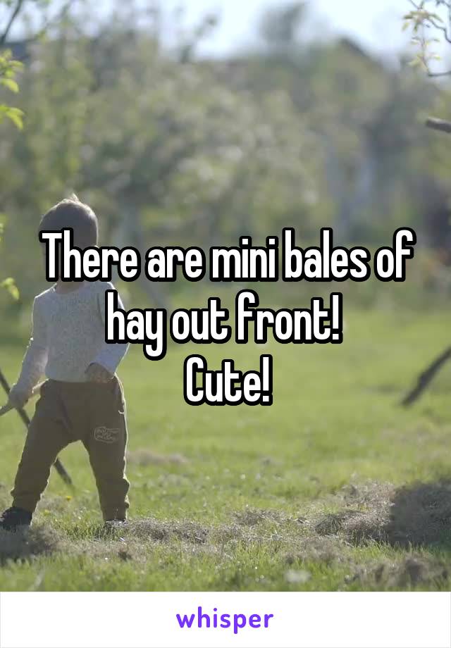 There are mini bales of hay out front! 
Cute!