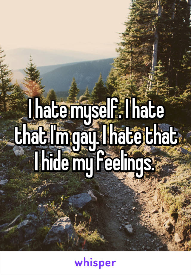 I hate myself. I hate that I'm gay. I hate that I hide my feelings. 