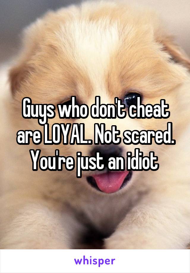 Guys who don't cheat are LOYAL. Not scared. You're just an idiot 