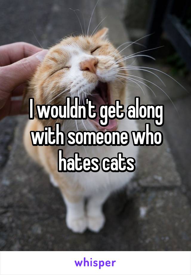 I wouldn't get along with someone who hates cats