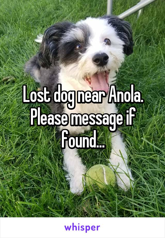 Lost dog near Anola. Please message if found...