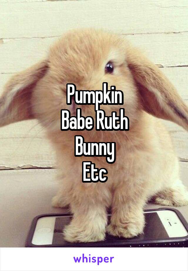 Pumpkin
Babe Ruth
Bunny
Etc