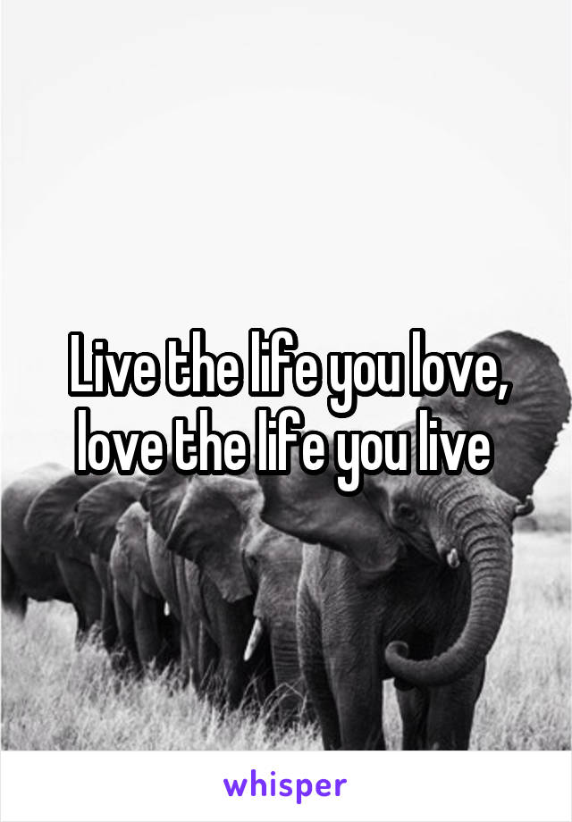 Live the life you love, love the life you live 