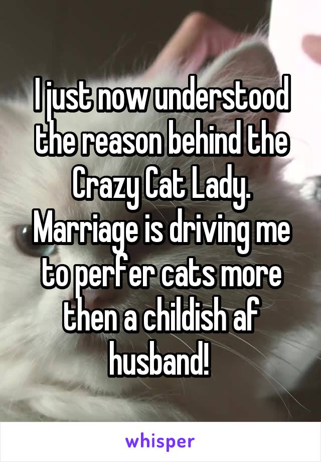 I just now understood the reason behind the Crazy Cat Lady. Marriage is driving me to perfer cats more then a childish af husband! 
