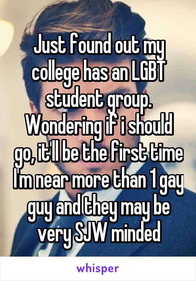 Just found out my college has an LGBT student group. Wondering if i should go, it'll be the first time I'm near more than 1 gay guy and they may be very SJW minded