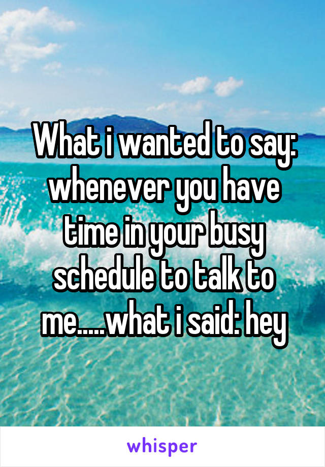 What i wanted to say: whenever you have time in your busy schedule to talk to me.....what i said: hey