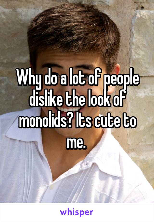 Why do a lot of people dislike the look of monolids? Its cute to me. 