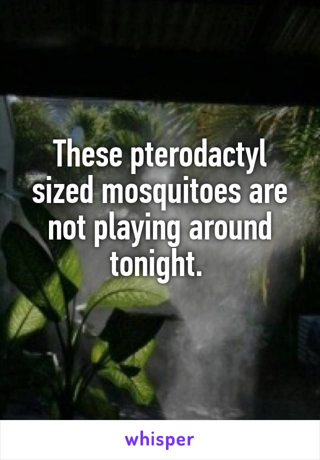 These pterodactyl sized mosquitoes are not playing around tonight. 
