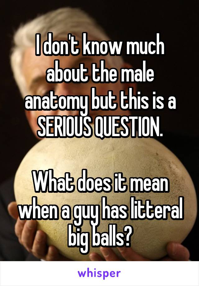 I don't know much about the male anatomy but this is a SERIOUS QUESTION.

What does it mean when a guy has litteral big balls?