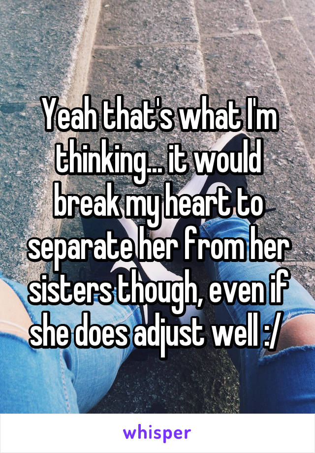Yeah that's what I'm thinking... it would break my heart to separate her from her sisters though, even if she does adjust well :/ 