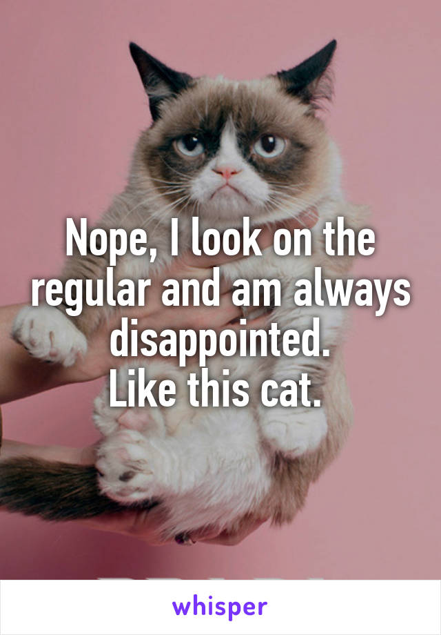 Nope, I look on the regular and am always disappointed.
Like this cat. 