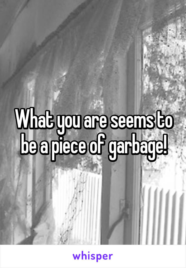 What you are seems to be a piece of garbage!