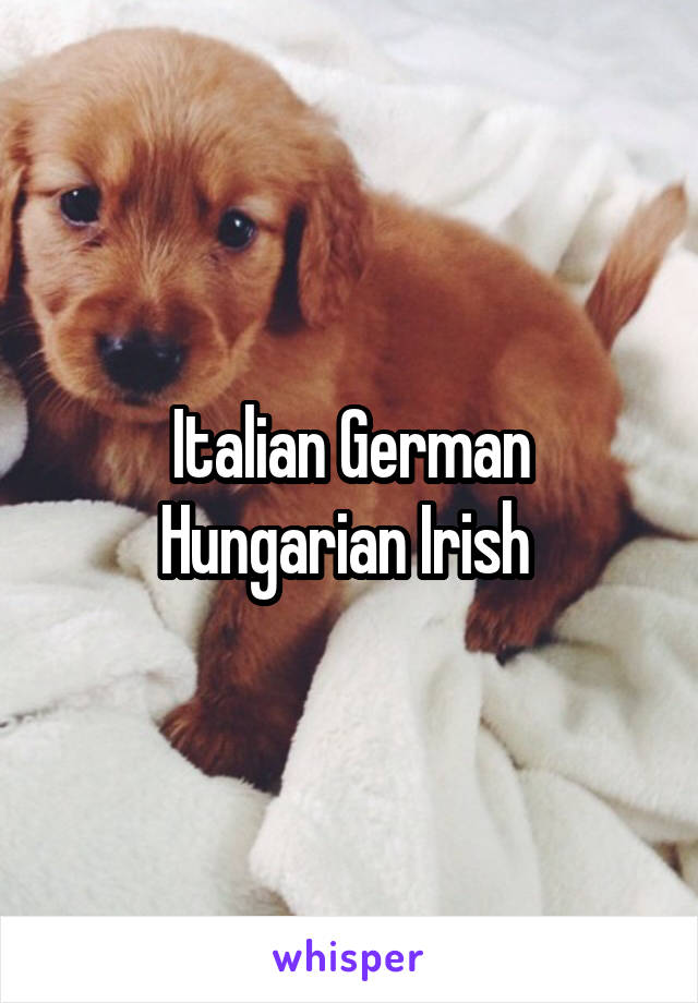 Italian German Hungarian Irish 