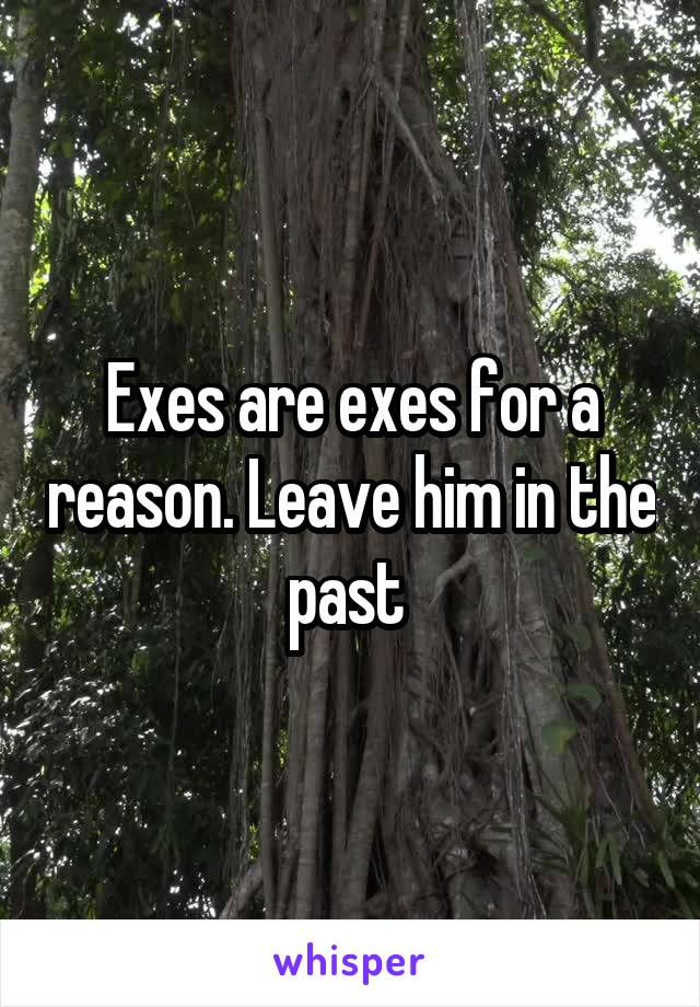 Exes are exes for a reason. Leave him in the past 