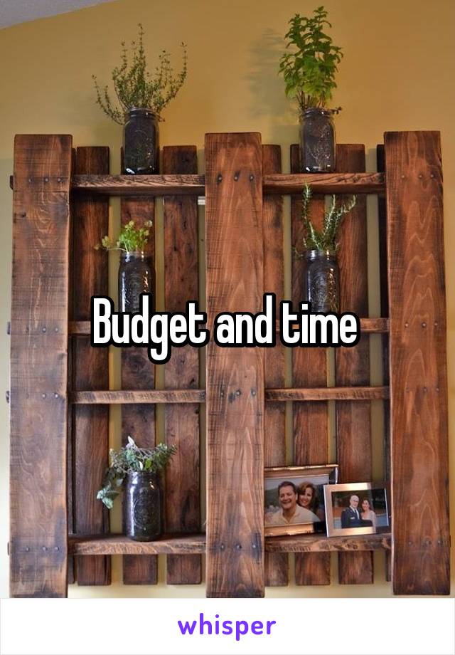 Budget and time 