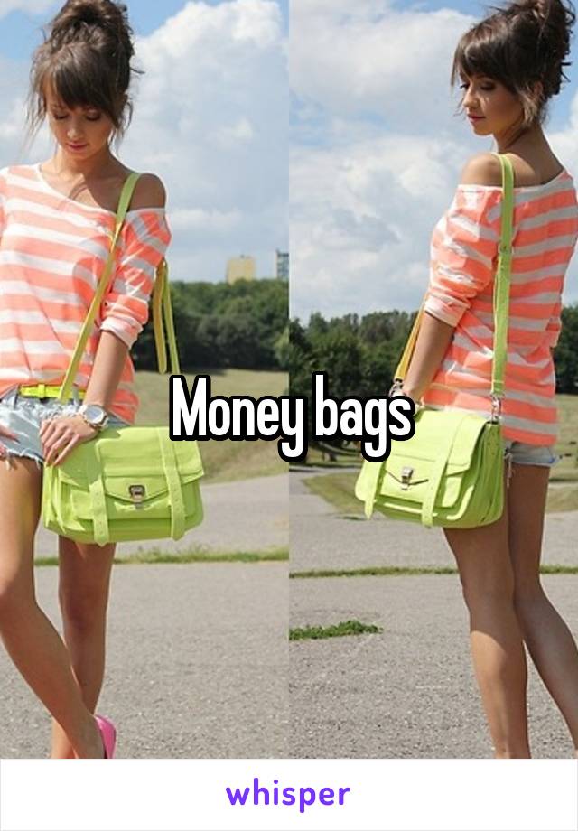 Money bags