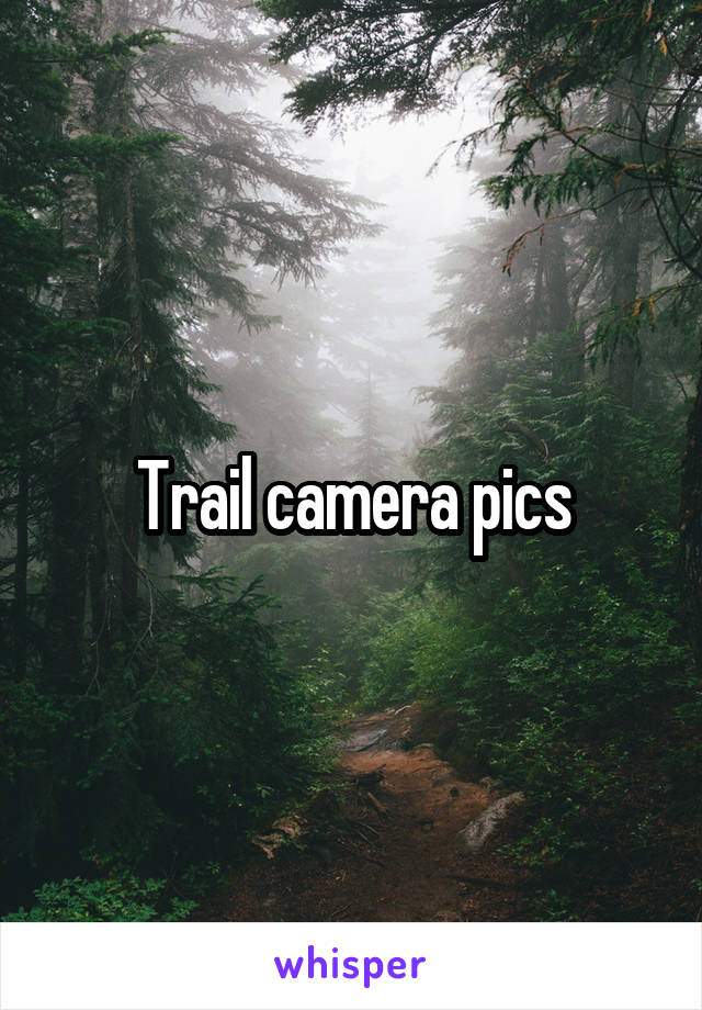 Trail camera pics