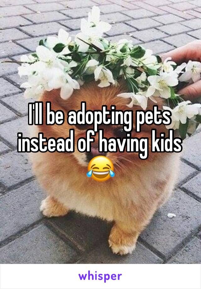 I'll be adopting pets instead of having kids 😂