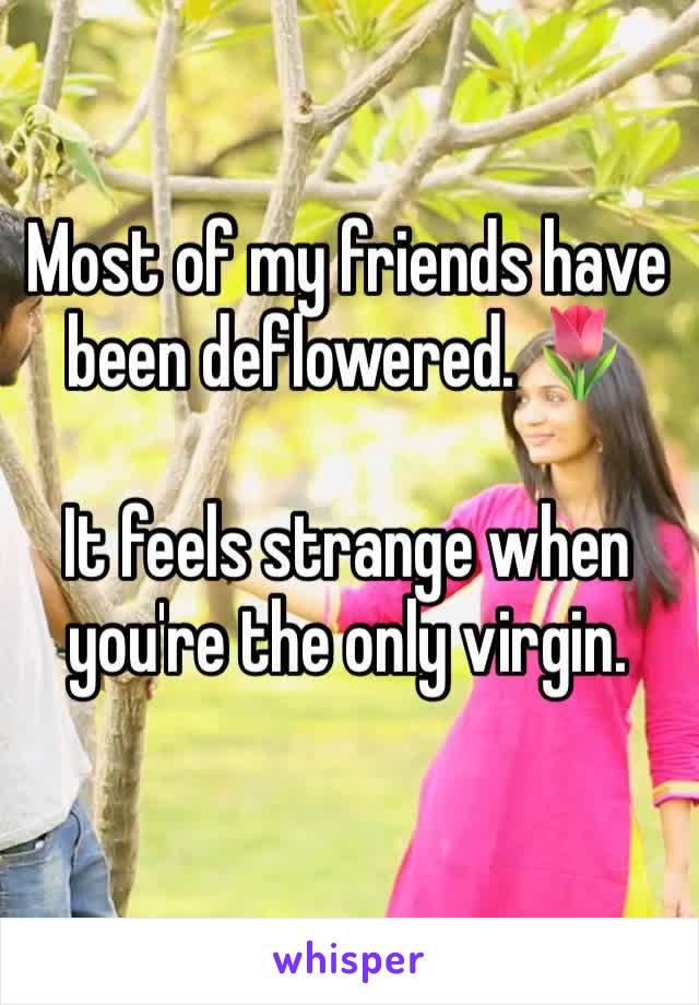 
Most of my friends have been deflowered. 🌷 

It feels strange when you're the only virgin.