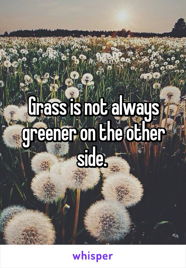 Grass is not always greener on the other side. 