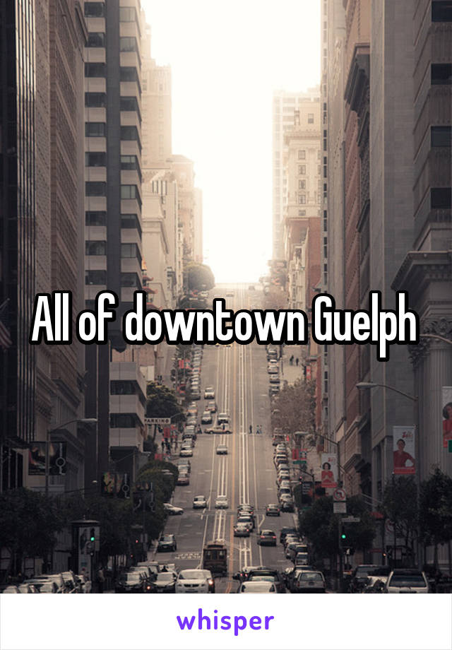 All of downtown Guelph 