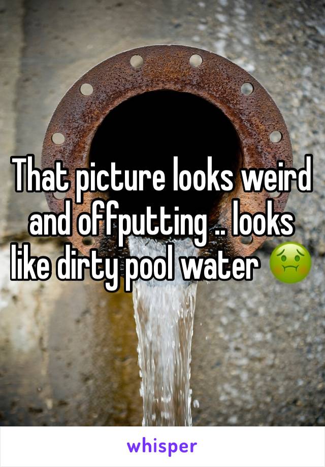 That picture looks weird and offputting .. looks like dirty pool water 🤢
