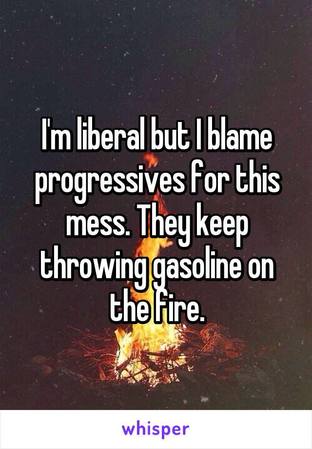 I'm liberal but I blame progressives for this mess. They keep throwing gasoline on the fire.