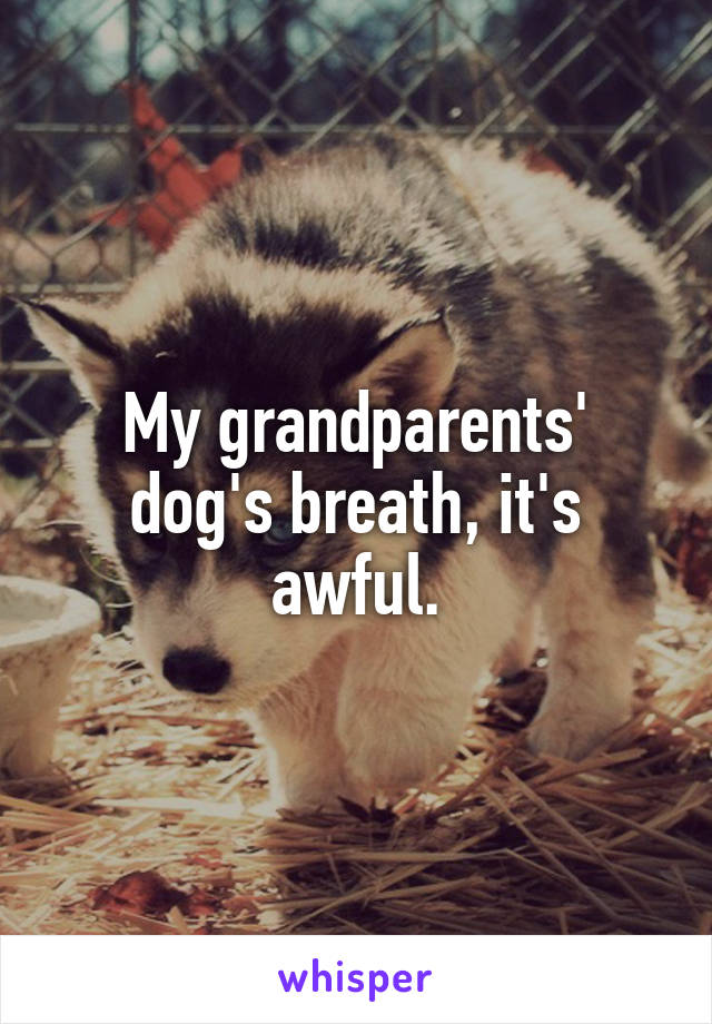 My grandparents' dog's breath, it's awful.