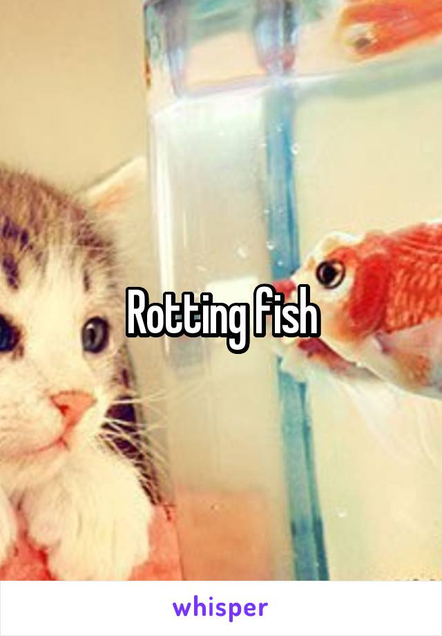 Rotting fish