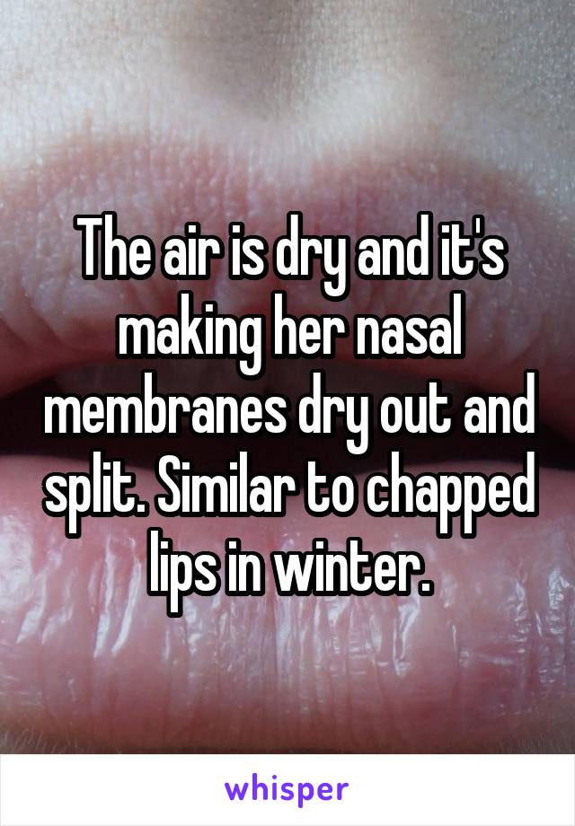The air is dry and it's making her nasal membranes dry out and split. Similar to chapped lips in winter.