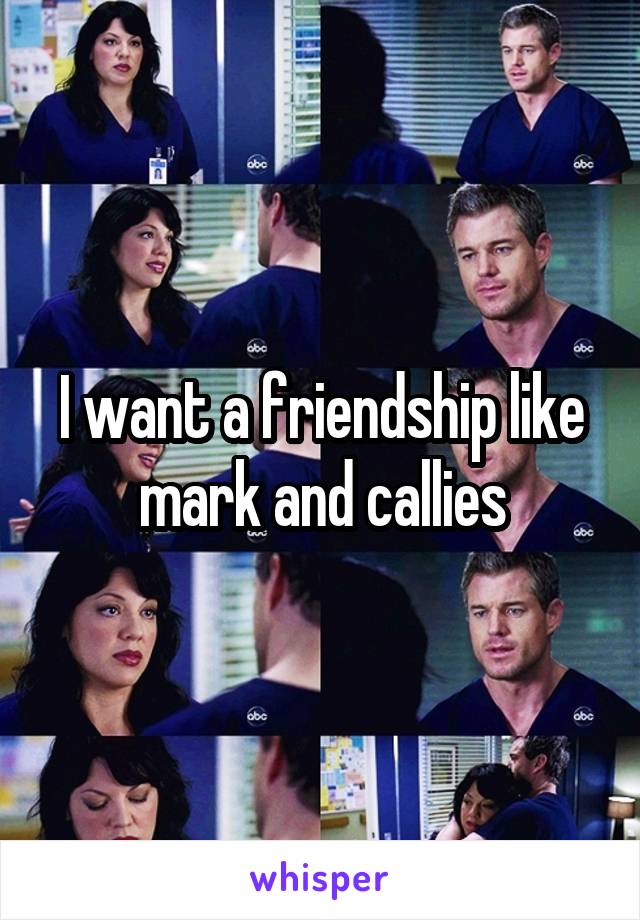 I want a friendship like mark and callies