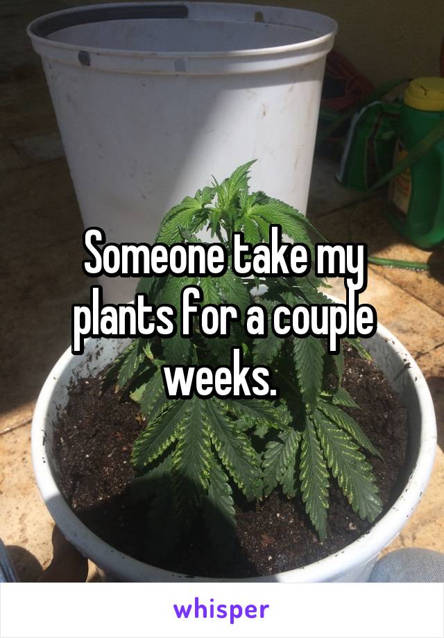 Someone take my plants for a couple weeks. 