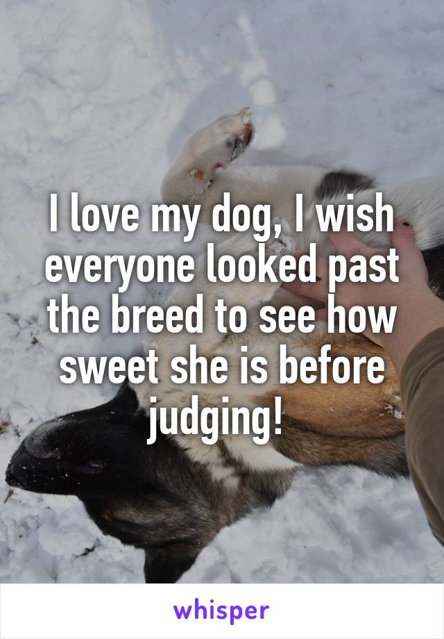 I love my dog, I wish everyone looked past the breed to see how sweet she is before judging! 