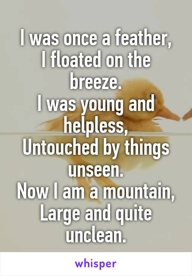 I was once a feather,
I floated on the breeze.
I was young and helpless,
Untouched by things unseen.
Now I am a mountain,
Large and quite unclean.