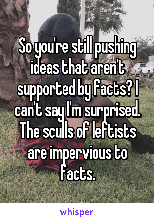 So you're still pushing ideas that aren't supported by facts? I can't say I'm surprised. The sculls of leftists are impervious to facts.