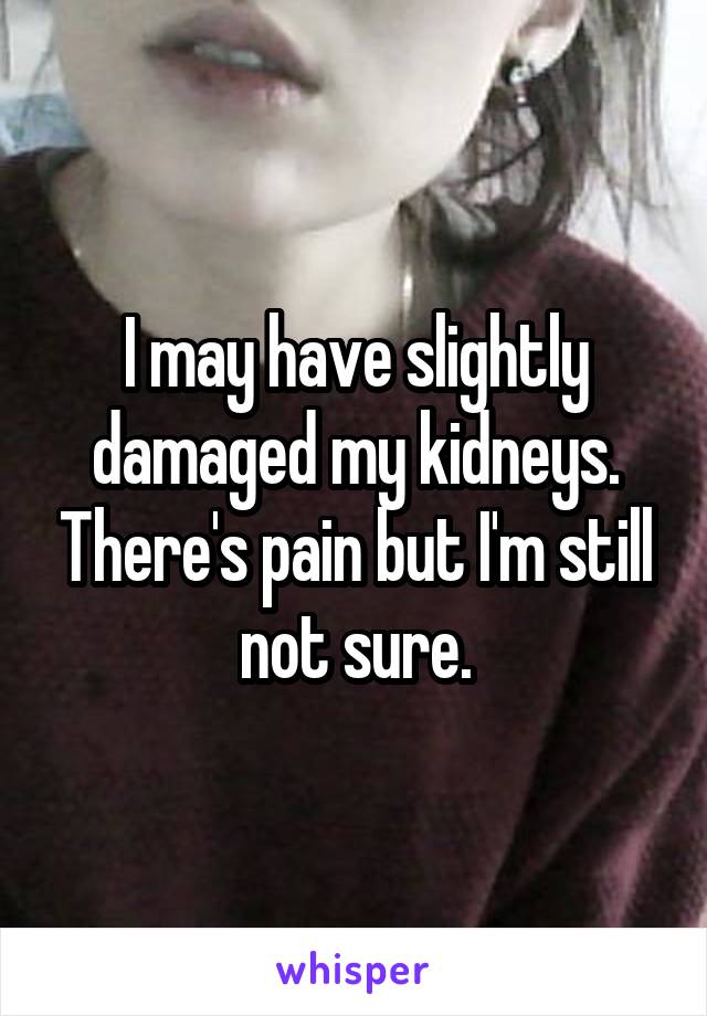 I may have slightly damaged my kidneys. There's pain but I'm still not sure.