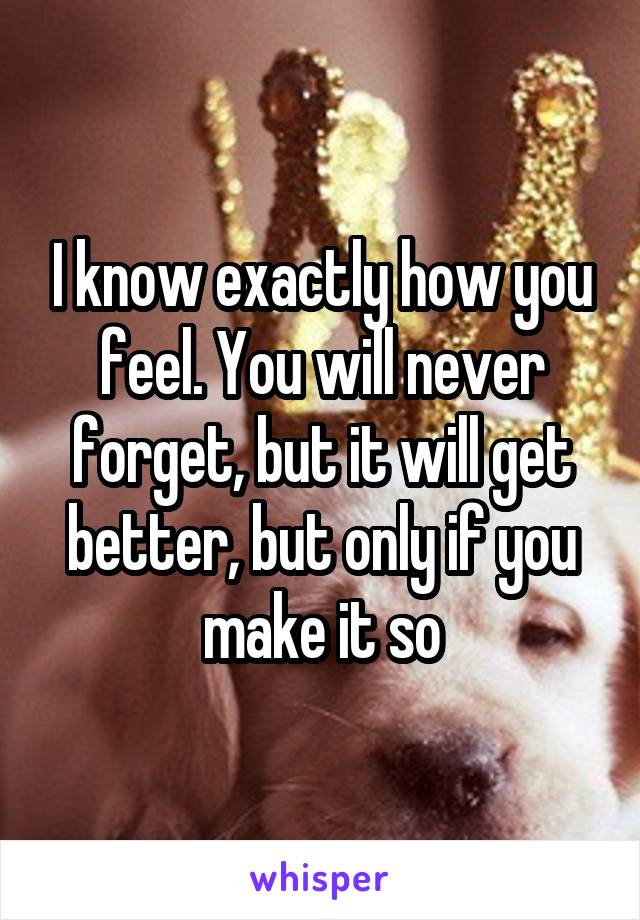 I know exactly how you feel. You will never forget, but it will get better, but only if you make it so