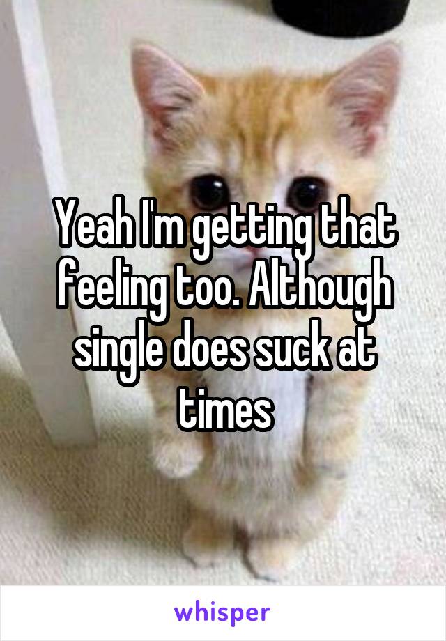 Yeah I'm getting that feeling too. Although single does suck at times