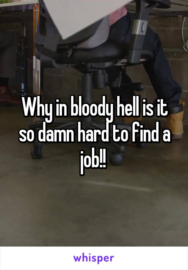 Why in bloody hell is it so damn hard to find a job!! 