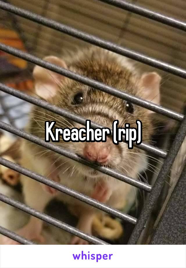 Kreacher (rip)