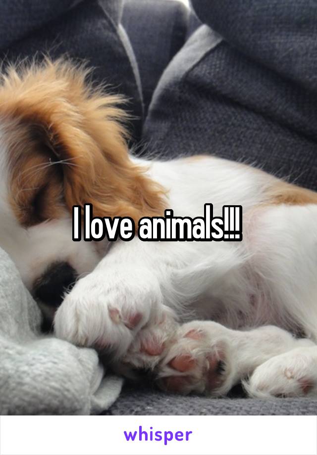 I love animals!!! 